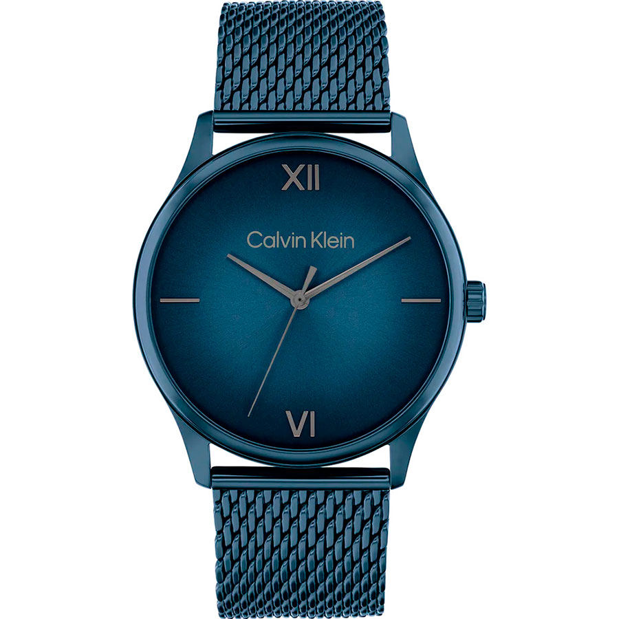 Часы Calvin Klein Ascend 25200451